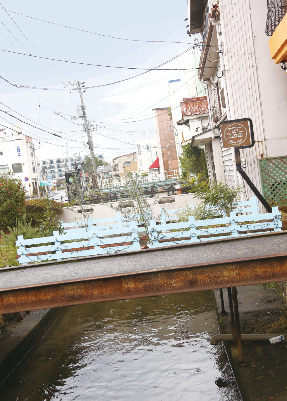 加茂川沿いの風景