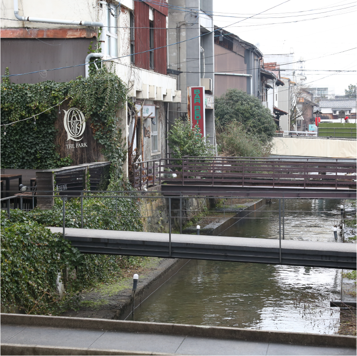 加茂川沿いの風景