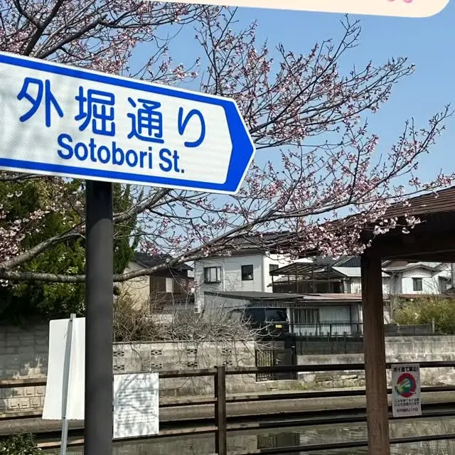 桜が咲き始めました🌸 ソメイヨシノ以外もありますが …